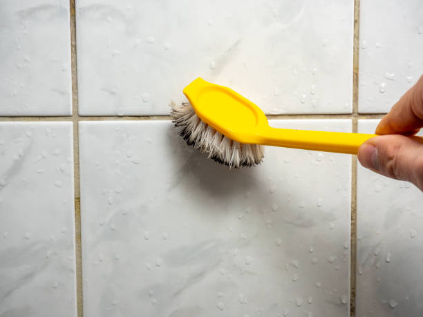Best Post-Remediation Services in Pine Hill, NJ