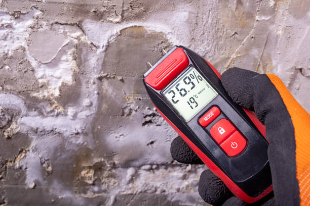 Best Bathroom Mold Remediation in Pine Hill, NJ